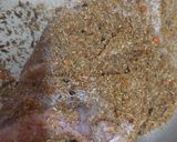 A picture of step 2 of Fried fish.