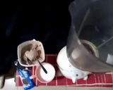 A picture of step 2 of Oreo ice cream milkshake.