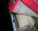 Foto del paso 6 de la receta: Pan lactal, de molde (muy fácil)