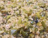 Foto del paso 4 de la receta: Arroz especiado con muslos de pollo
