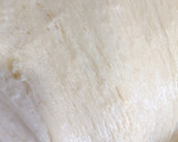 Foto del paso 6 de la receta: Panettone