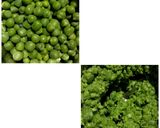 મટર નીમોના (Matar Nimona Recipe In Gujarati) રેસીપી સ્ટેપ1ફોટો
