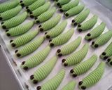 Foto langkah ke 5 dari resep Caterpillar Cookies / Kue Semprit.