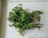 Foto langkah ke 1 dari resep Sayur Kelor Tinggi Manfaat.