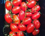 Foto del paso 1 de la receta: Tomates confitados