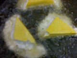 Tahu Kipas