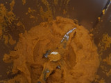Pollo en salsa de Coca-Cola. Thermomix