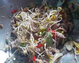 Foto langkah ke 5 dari resep Tumis Pare Tetelan Sapi.