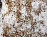 A picture of step 6 of Cookie Casserole.