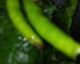 પાલક પનીર રોલ (Palak Paneer Roll Recipe In Gujarati) રેસીપી સ્ટેપ2ફોટો