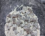 Foto del paso 3 de la receta: Torta trocitos 🍫