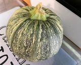 Une image de l'étape 6 de Minis chorizos grillés aux tomates et courgette ronde.