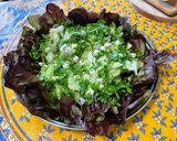 Une image de l'étape 9 de Salade de feuille de chêne à la feta et persil.