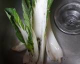 Chinese Lionhead Meatballs recipe step 3 photo