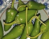 A picture of step 1 of Masala Fried Chillies 🌶️🌶️.