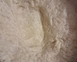 A picture of step 1 of Italian Pizza.