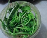 લીલી ચટણી (Green Chutney Recipe In Gujarati) રેસીપી સ્ટેપ2ફોટો