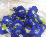 Foto langkah ke 1 dari resep Puding blue ocean (lumut bunga telang).
