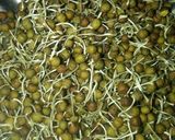 पोहा स्प्राउट्स नमकीन (poha sprouts namkeen recipe in Hindi) रेसिपी चरण 1 फोटो
