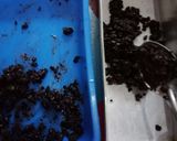 Foto langkah ke 4 dari resep Puding Lapis Coklat Oreo Milo.
