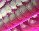 Foto langkah ke 7 dari resep Pastel Ragut.