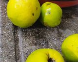 Foto del paso 1 de la receta: Dulce de membrillo casero