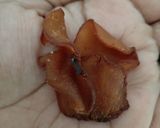 Foto langkah ke 2 dari resep Tumis bunga kates.