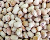 பட்டர் பீன்ஸ் குருமா ரெசிபி ஸ்டேப் 1 புகைப்படம்