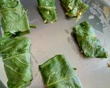 A picture of step 3 of Palak Patra.