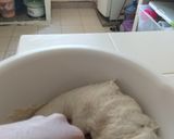 Foto del paso 9 de la receta: Pan ciabatta