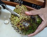 Foto langkah ke 2 dari resep (Trik) Sirsak kupas tanpa biji.
