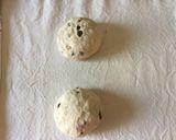 Foto del passaggio 4 della ricetta Pane alle nocciole, noci pecan e uvetta