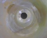 Foto langkah ke 6 dari resep Bolu Pisang Raja.