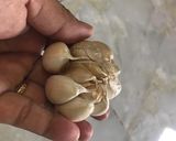 Hình bước làm 5 của món THỊT KHO TRỨNG -Hương vị Miền Tây Nam Bộ