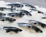 Hình bước làm 1 của món Cá saba Na Uy nướng muối mềm mướt ngọt lịm