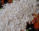 A picture of step 2 of Oats Upma.