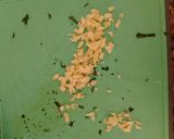 Foto del paso 1 de la receta Calamar con Ajo y Perejil