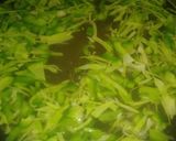A picture of step 2 of Hot and sour soupe.