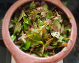 பொன்னாங்கண்ணிக் கீரை கூட்டு ரெசிபி ஸ்டேப் 2 புகைப்படம்