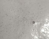 A picture of step 2 of Smoothie.