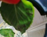 A picture of step 2 of Chocolate Mint Ice Cream.