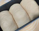 Foto langkah ke 4 dari resep Roti tawar.
