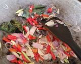 Foto langkah ke 3 dari resep Ayam kecap bumbu iris.