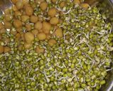 A picture of step 1 of White Chana And Sprout salad.