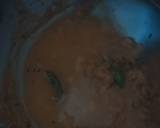 Fish Tikka Masala recipe step 11 photo