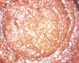 Chocolate Idli recipe step 1 photo