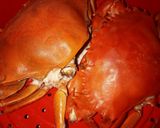 Foto langkah ke 1 dari resep Kepiting saos padang.