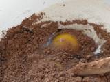 Budín de chocolate en microondas