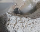 Foto del paso 1 de la receta: Pan con chicharrones 🥖