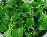 Hình bước làm 1 của món Rau dền nấu canh tôm